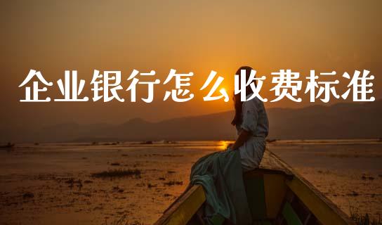 企业银行怎么收费标准_https://wap.yjjixie.cn_保险理财_第1张